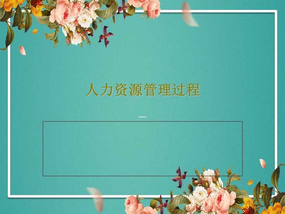 人力资源管理过程.ppt_第1页