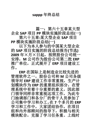 sappp终总结.doc