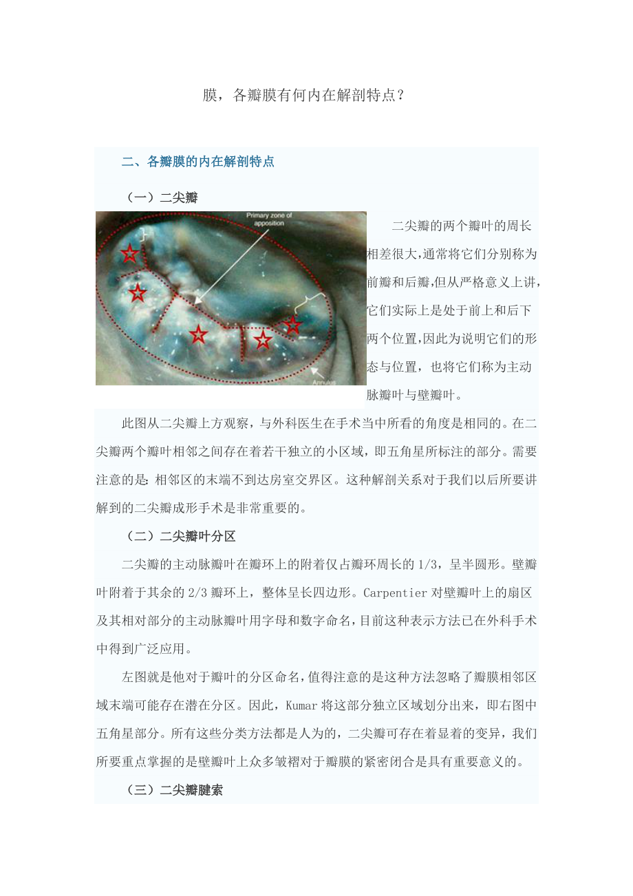 心脏瓣膜解剖.doc_第3页