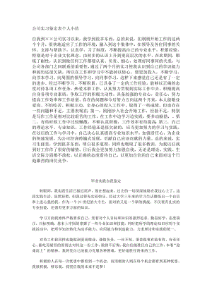 万能版实习鉴定表 个人总结.doc