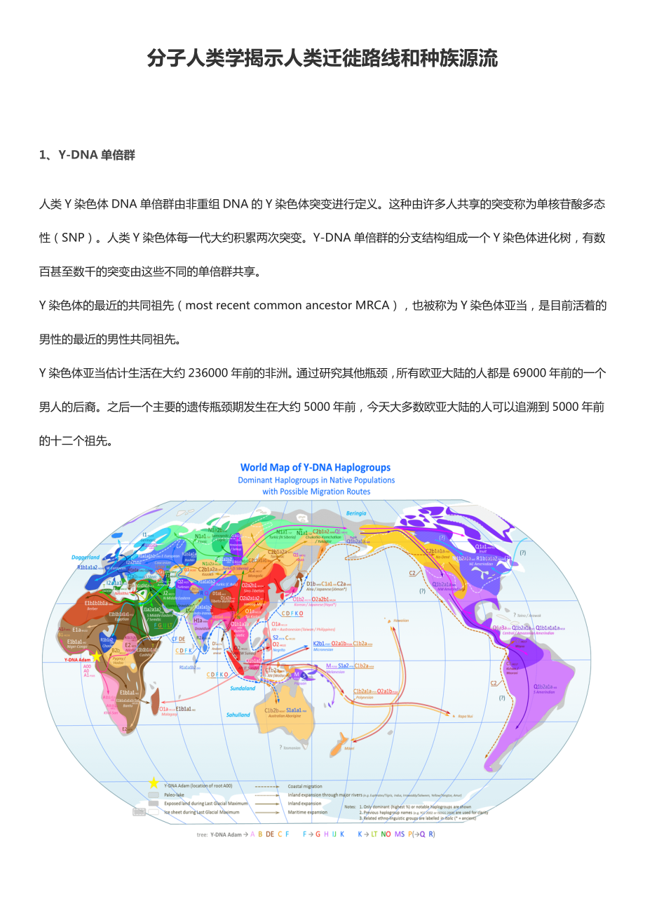 分子人类学视角地人类迁徙和种族源流.doc_第1页