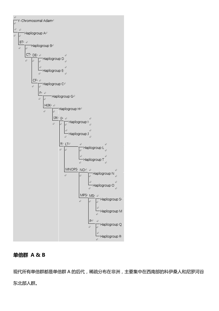 分子人类学视角地人类迁徙和种族源流.doc_第3页