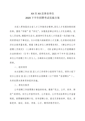 XX市XX县事业单位202X下半年招聘考试实施方案.docx