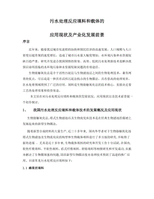 污水处理反应填料和载体的应用现状及发展前景提纲.docx