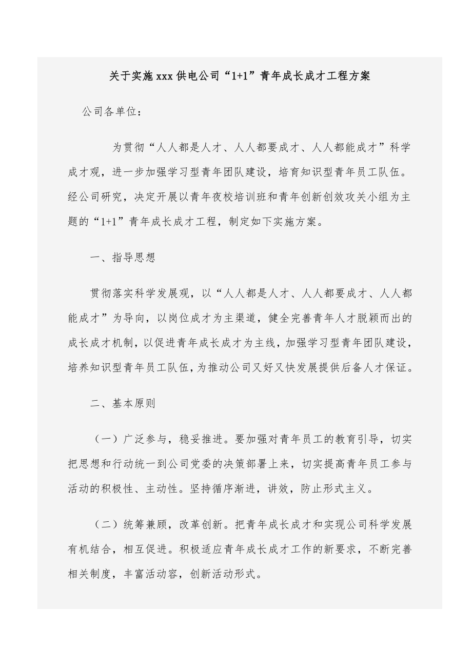 企业青年成长成才实施计划方案.doc_第1页