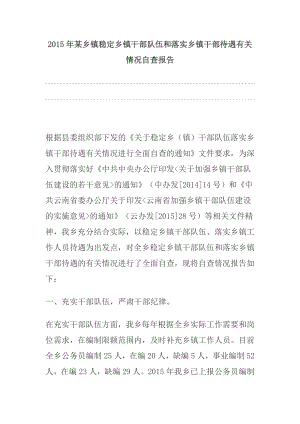 某乡镇稳定乡镇干部队伍和落实乡镇干部待遇有关情况自查报告.doc