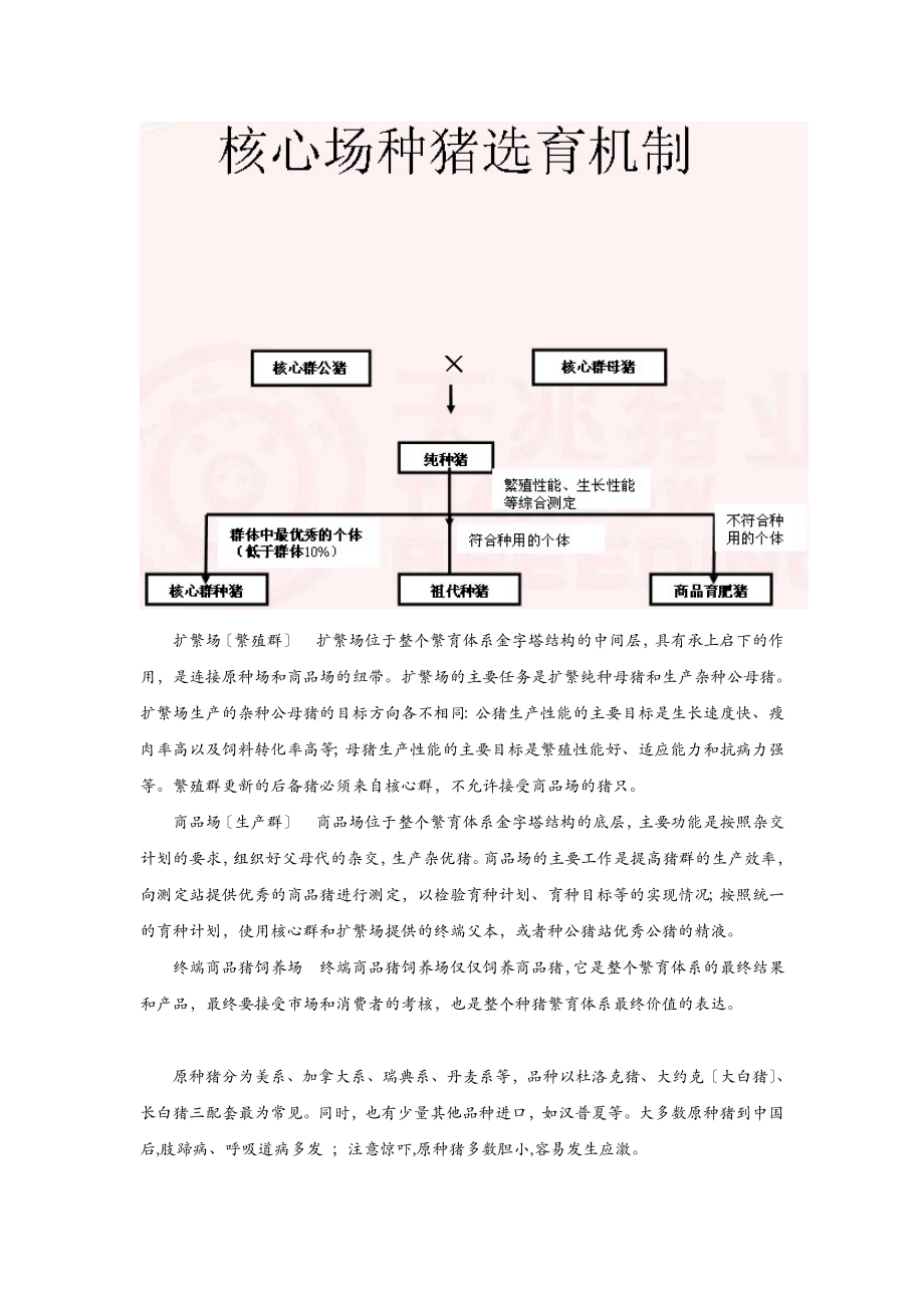 养猪繁育体系及评价指标.doc_第2页