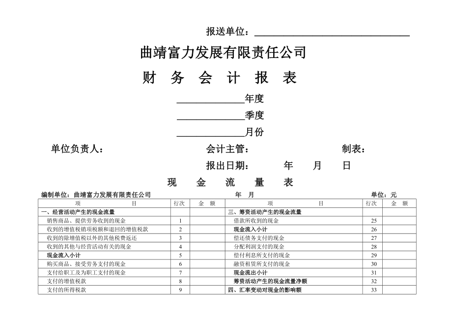 公司空白财务报表.doc_第1页