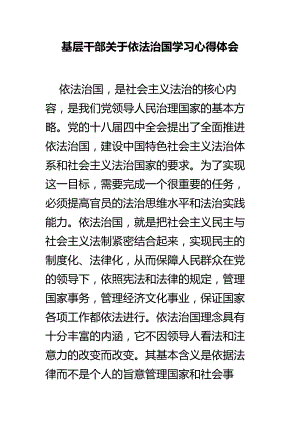 基层干部关于依法治国学习心得体会.doc