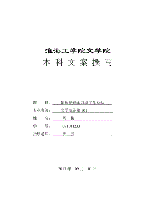 文案撰写销售助理实习期工作总结.doc