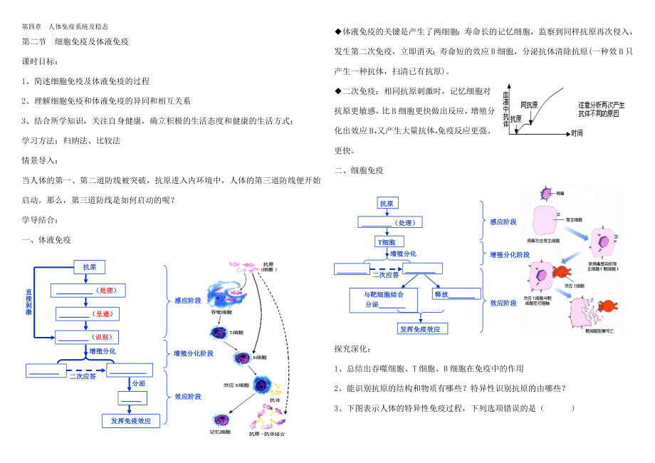 体液免疫和细胞免疫.doc_第1页