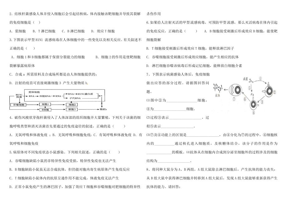 体液免疫和细胞免疫.doc_第3页