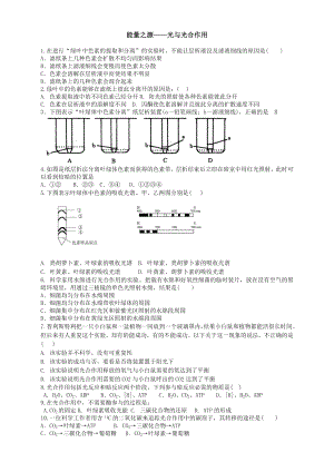 光与光合作用-练习题.doc