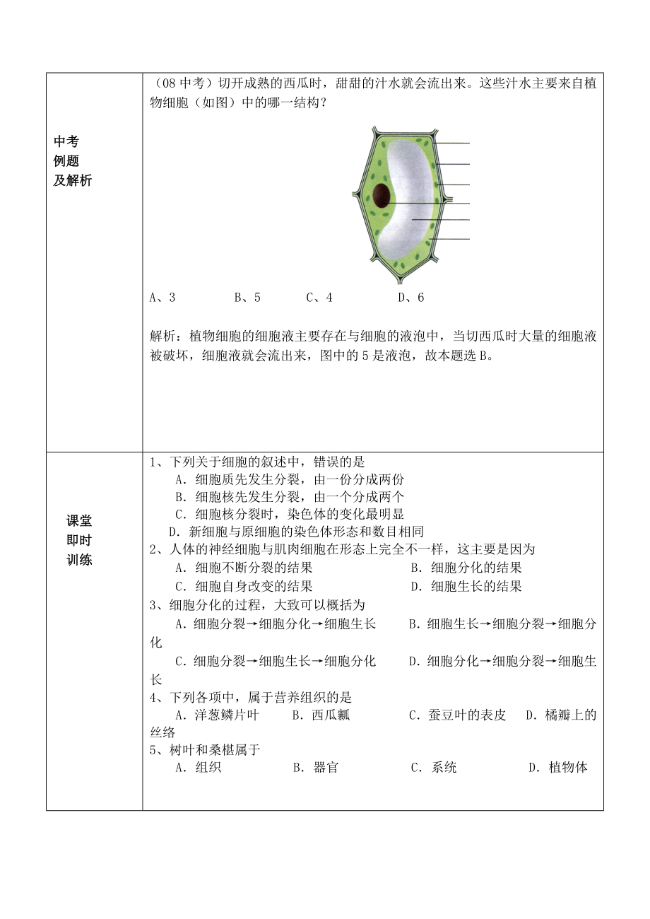 中考生物专题二生物体的结构层次名师教案.doc_第3页