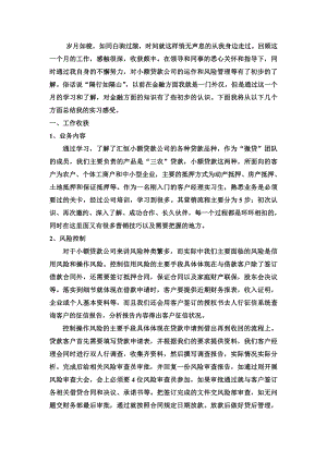 小额贷款公司实习自我总结.doc