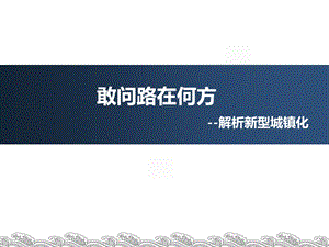 解析新型城镇化.ppt