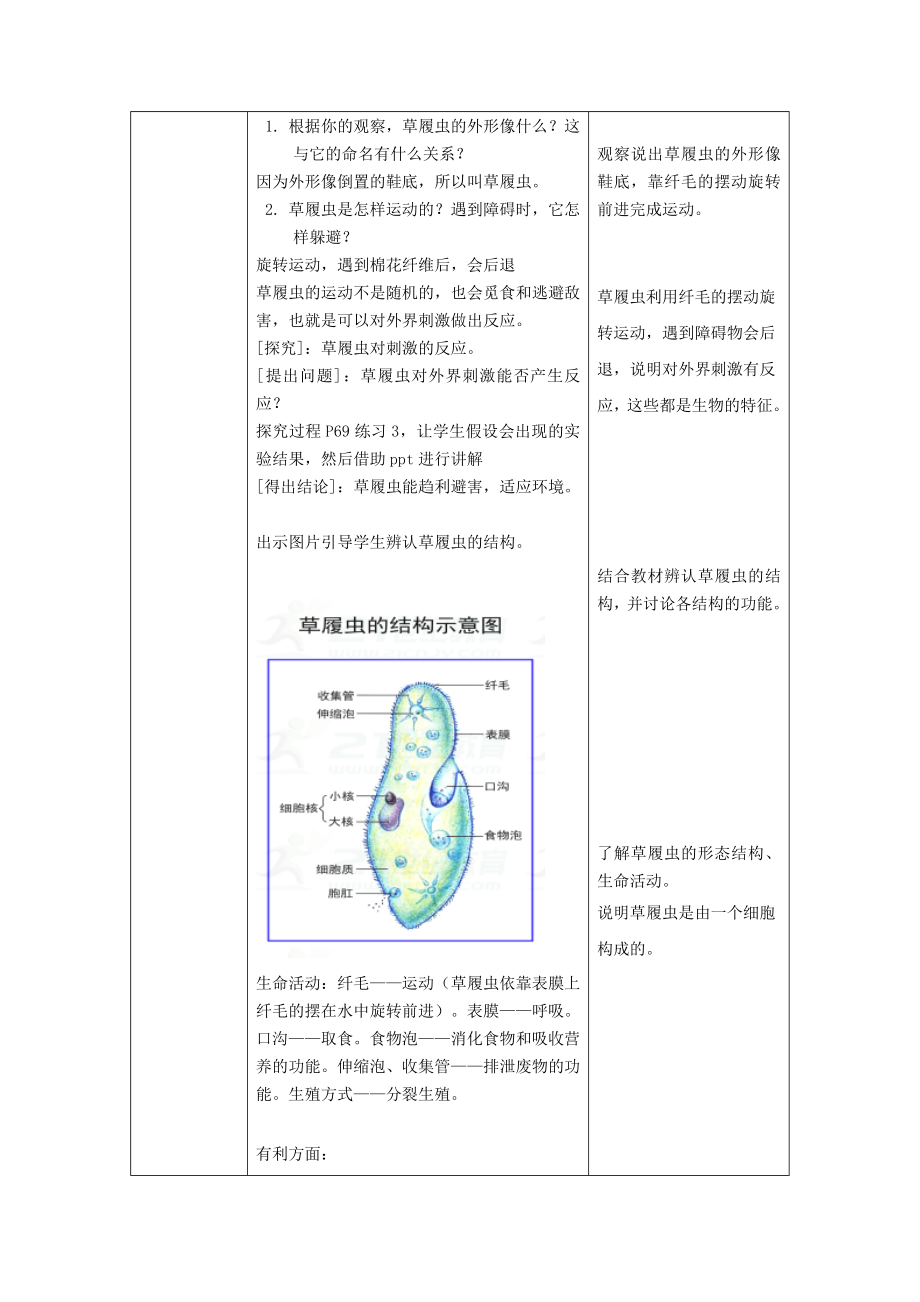 初中七年级生物上册-第二单元-第二章-第四节《单细胞生物》名师精选教案-(新版)新人教版.doc_第2页