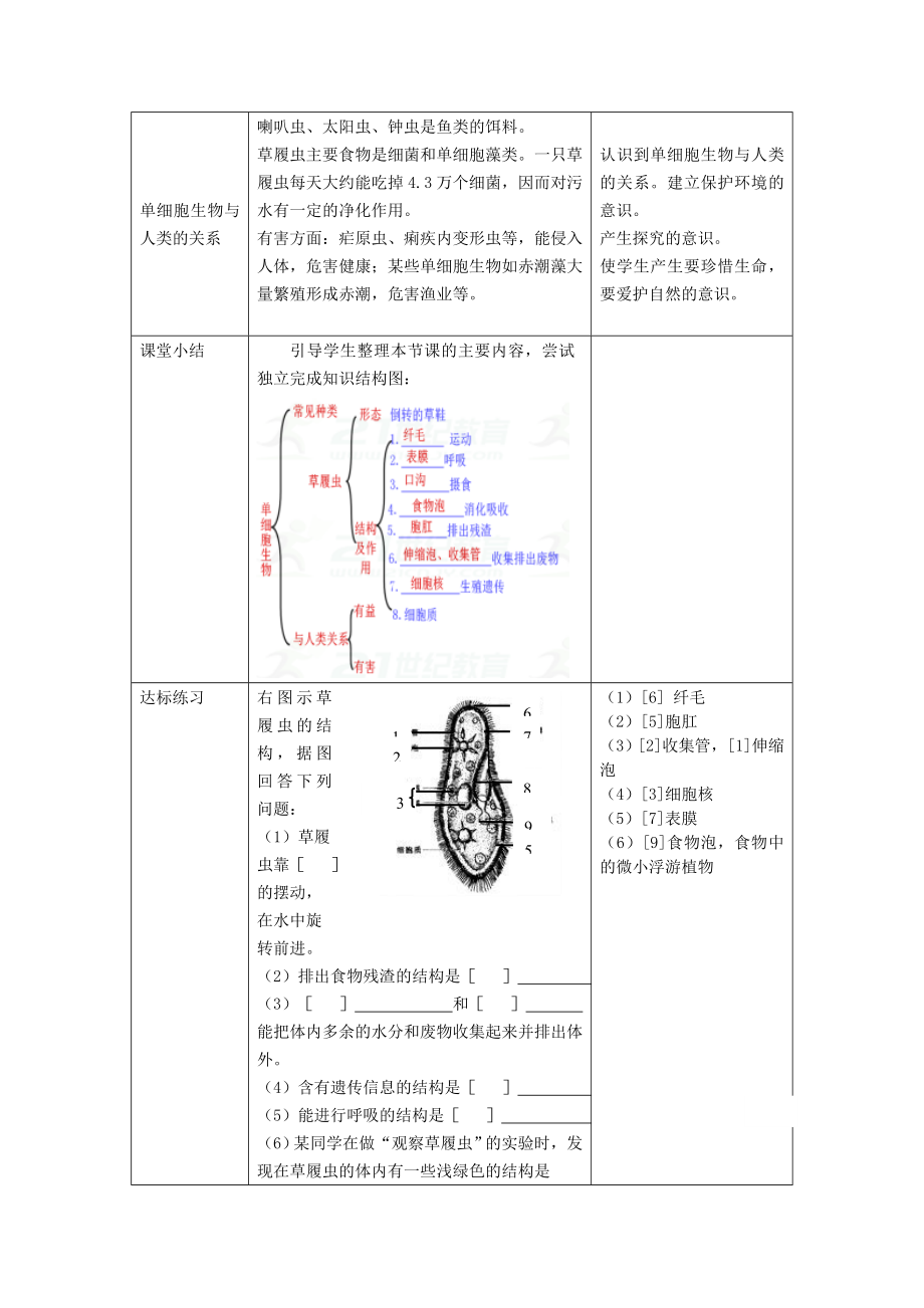 初中七年级生物上册-第二单元-第二章-第四节《单细胞生物》名师精选教案-(新版)新人教版.doc_第3页