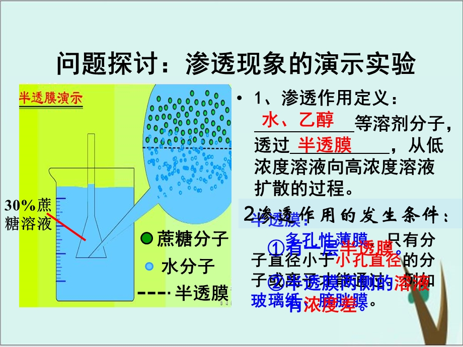 人教版生物必修一《探究植物细胞的吸水与失水》.pptx_第2页