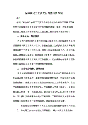 保障农民工工资支付自查报告3篇.docx