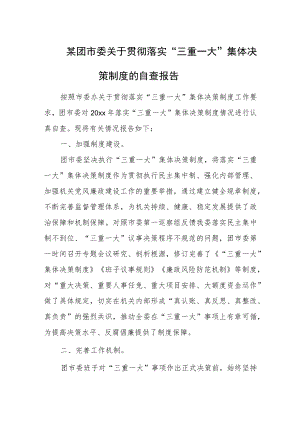 某团市委关于贯彻落实“三重一大”集体决策制度的自查报告.docx