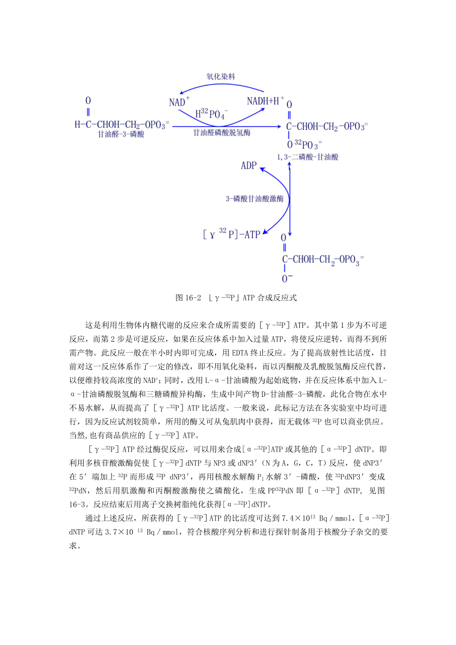 第十六章放射性核素在分子生物学研究中.doc_第3页