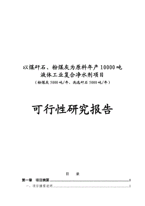 粉煤灰煤矸石为原料年产10000吨液体复合净水剂可行性研究报告.doc