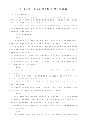 销售类工作总结与工作计划(领导已阅).doc