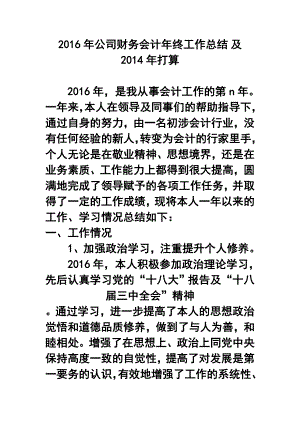 公司财务会计终工作总结 及打算.doc