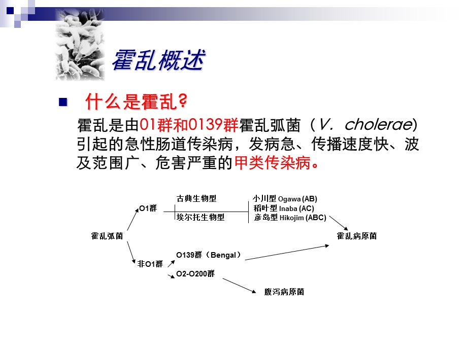 霍乱实验室检测.ppt_第2页