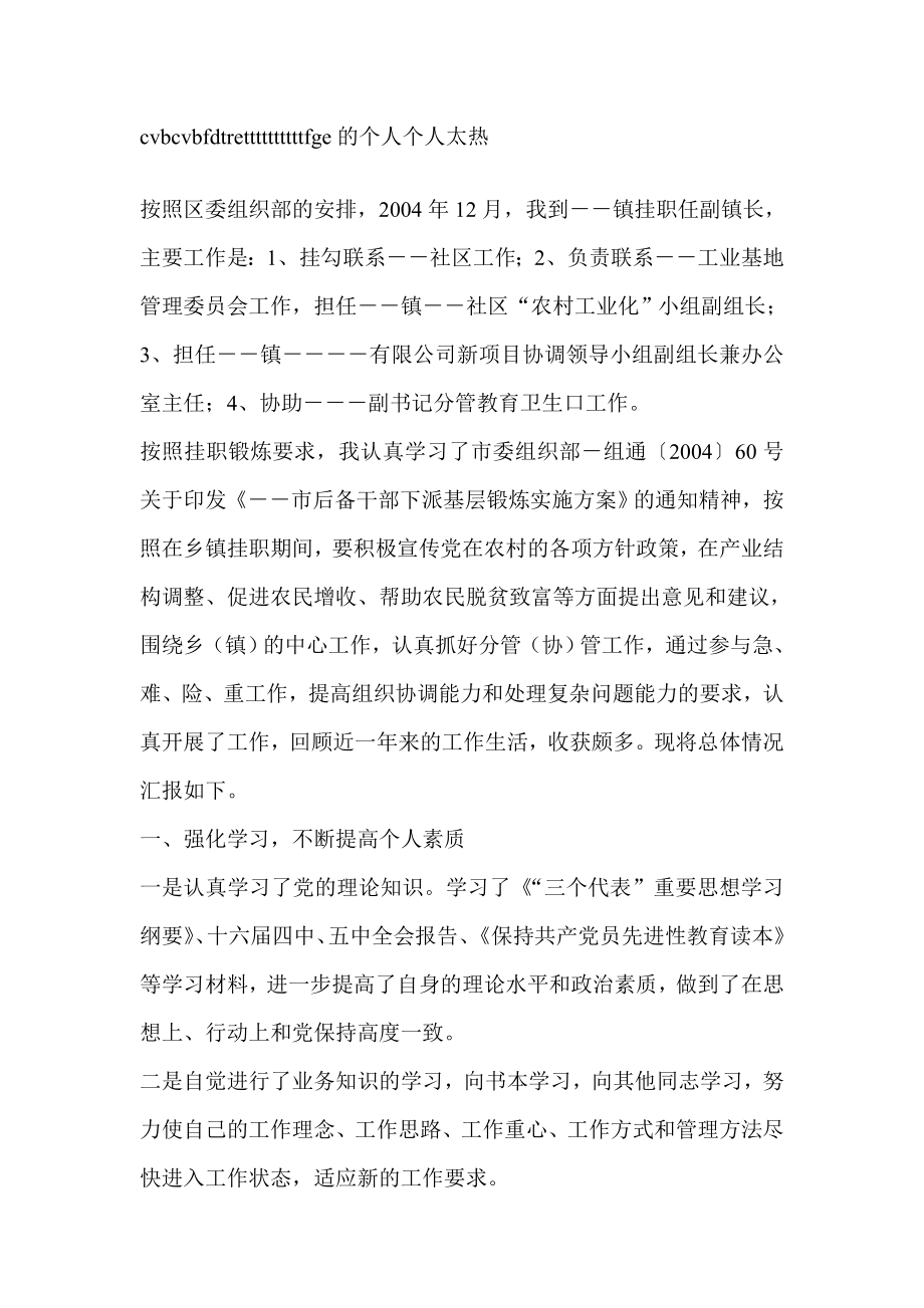 挂职任副镇长述职报告述职报告.doc_第1页