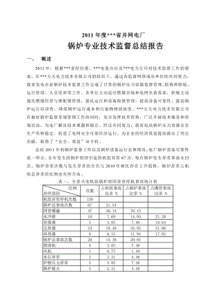 锅炉技术监督总结报告.doc