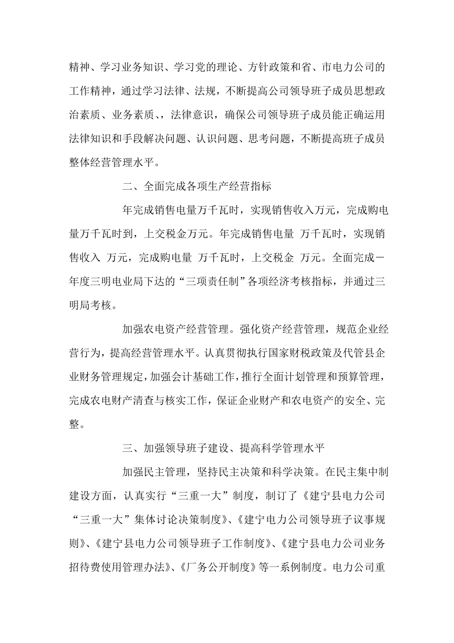 县电力公司领导班子述职报告.doc_第2页