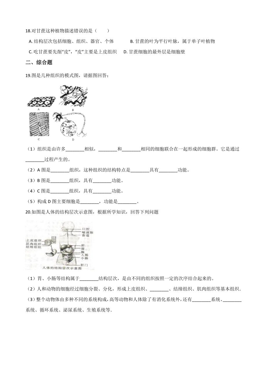 苏科版七年级下册生物练习题-第9章-生物体有相似的结构层次(无答案).doc_第3页