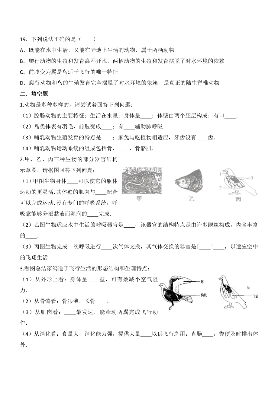 第一章动物的主要类群练习题.doc_第3页