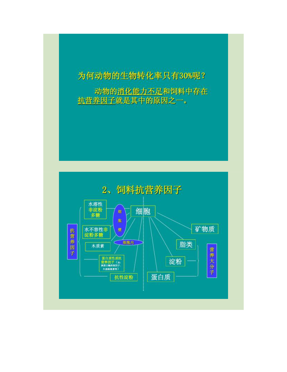 酶在饲料中的应用.doc_第2页