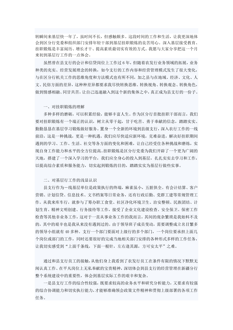 [优质文档]银行干部挂职心得理解.doc_第1页