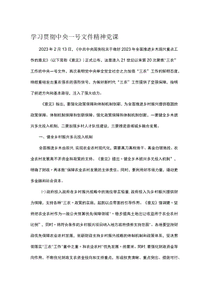 学习贯彻中央一号文件精神党课.docx