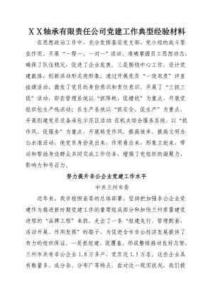 轴承有限责任公司党建工作典型经验材料.doc