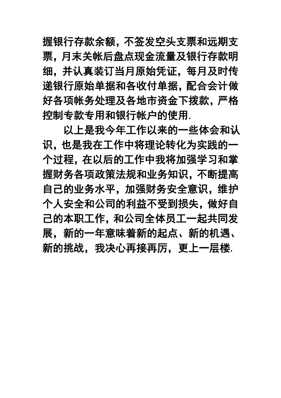 公司出纳个人终工作总结.doc_第2页