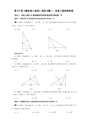 第24章《解直角三角形》培优专题1：直角三角形的性质.doc