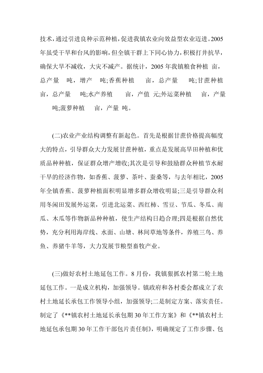 乡镇政府终总结.doc_第2页