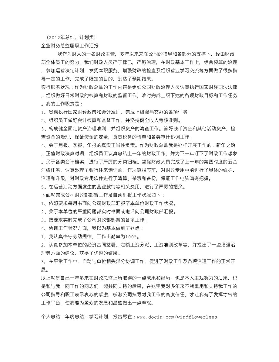 企业财务总监履职工作汇报(总结).doc_第1页