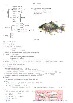 最完整人教版八年级生物上册知识点总结(全面).docx