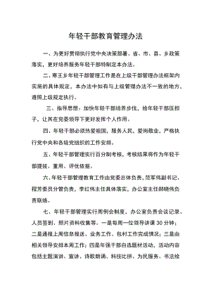 年轻干部教育管理办法.docx