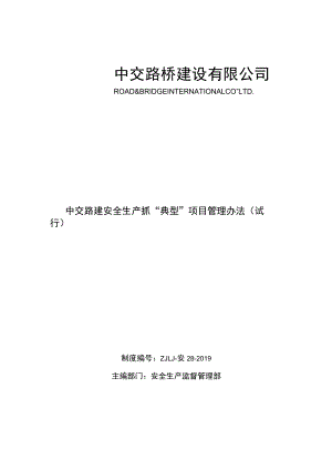 28中交路建安全生产抓“典型”项目管理办法（试行）.docx