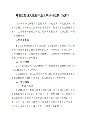 XXX县促进大数据产业发展扶持政策（试行）.docx