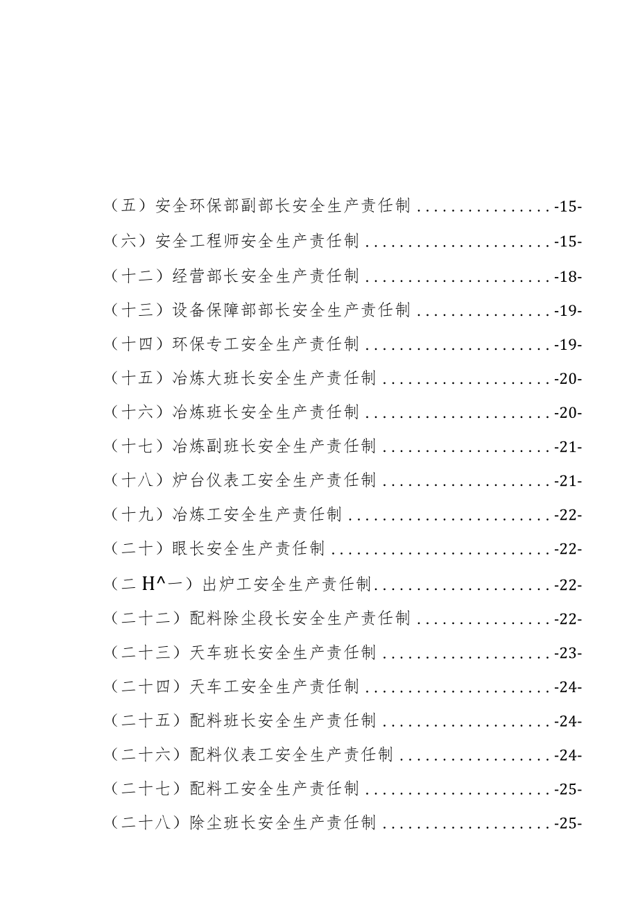 2021安全生产责任制（定稿）.docx_第2页