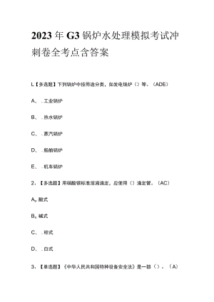 2023年G3锅炉水处理模拟考试冲刺卷全考点含答案.docx