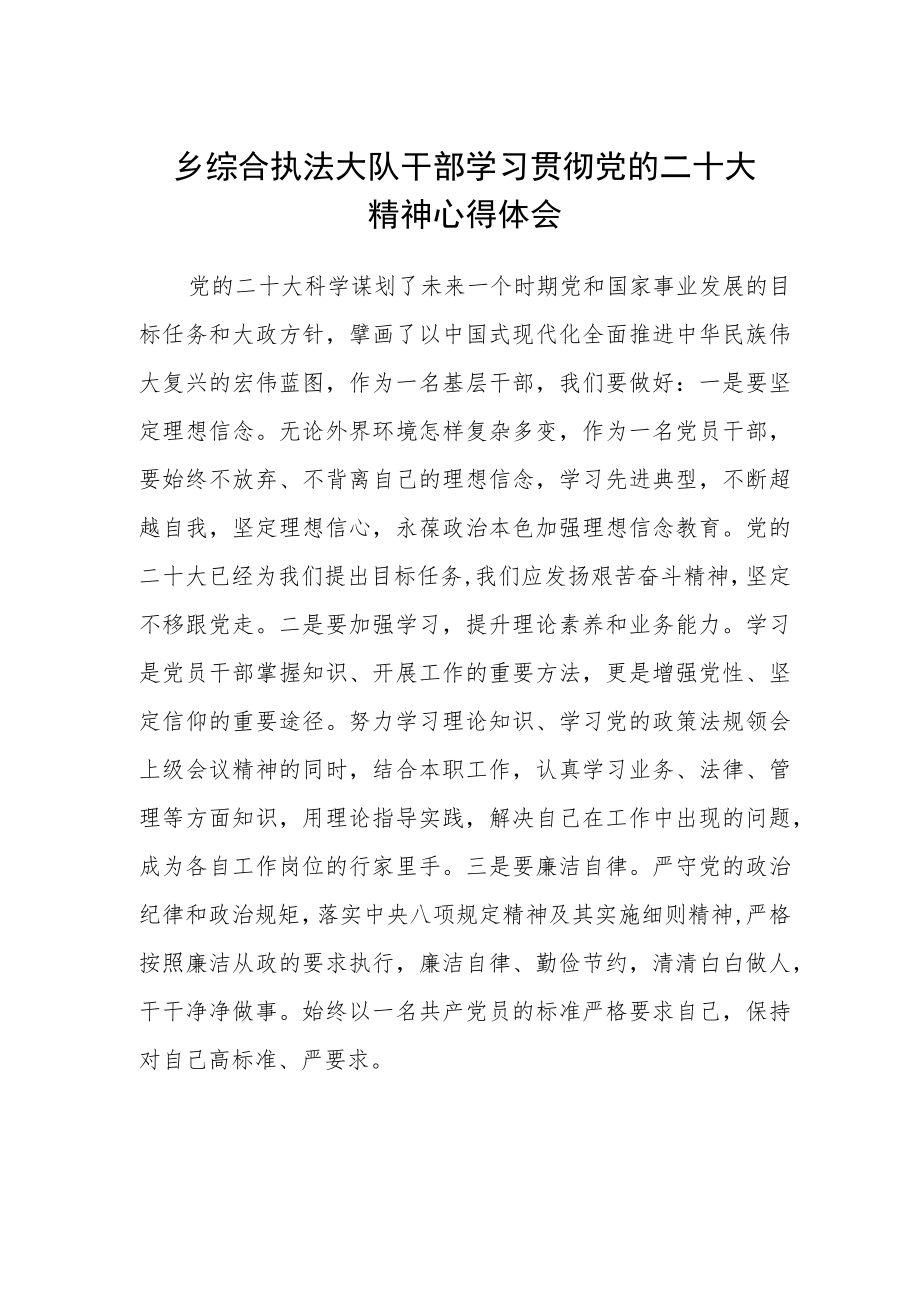 乡综合执法大队干部学习贯彻党的二十大精神心得体会.docx_第1页